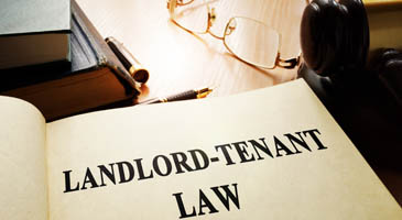 Commercial Evictions